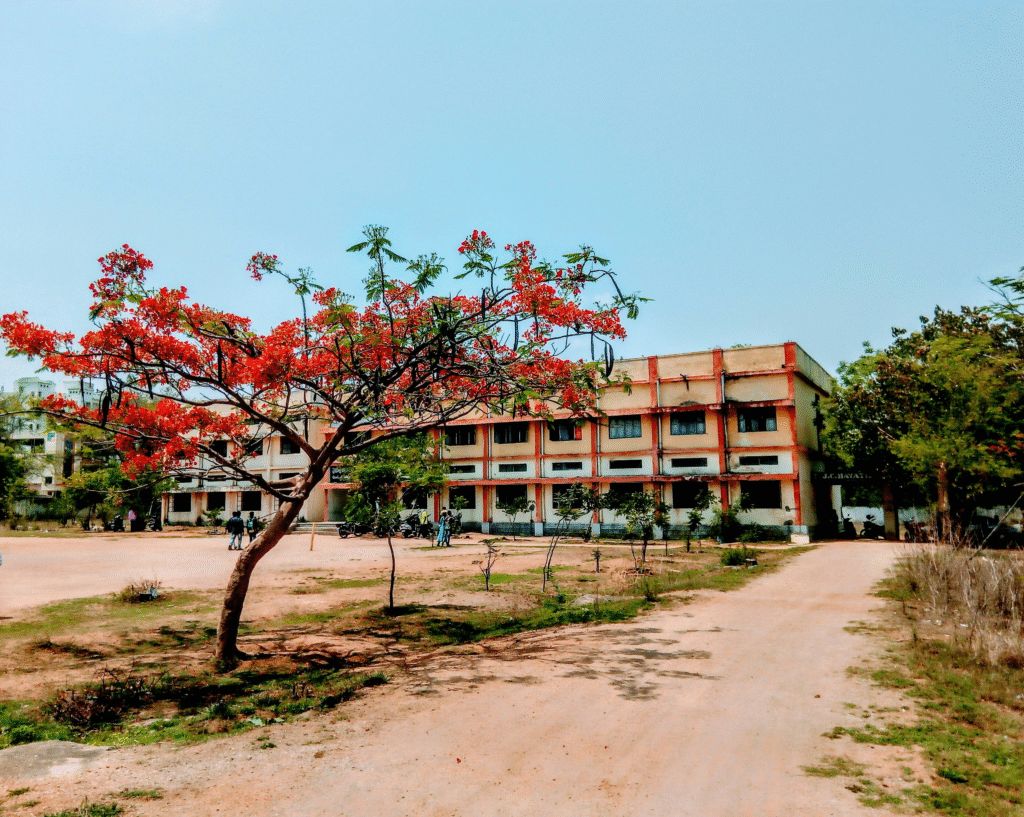 school environment1