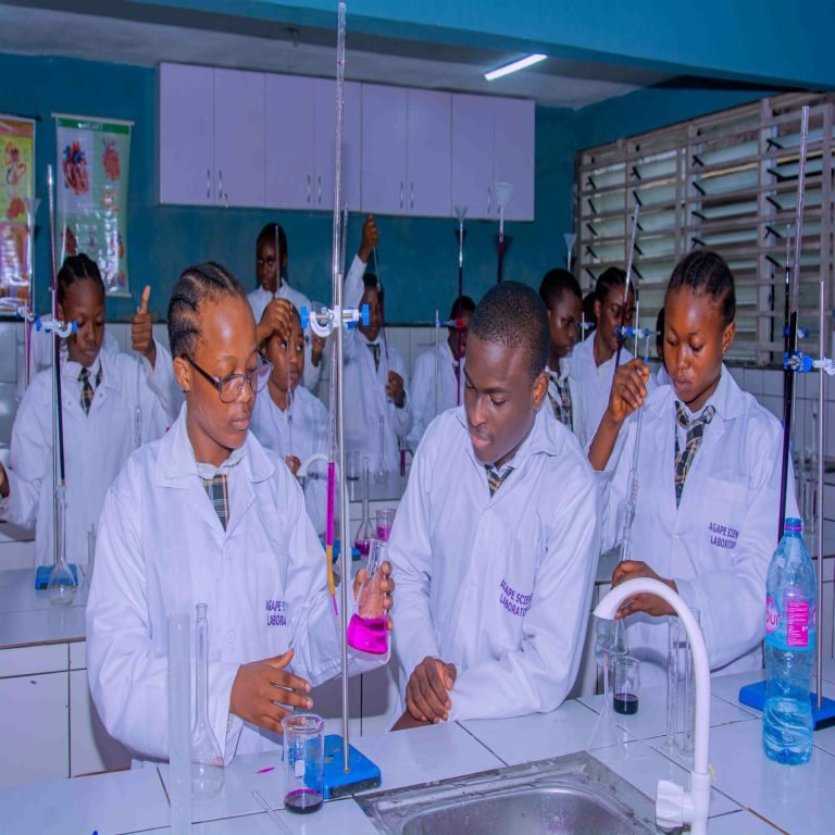 Agape plans to host the Inaugural STEM week/ Science Fair to spark Innovation among students
